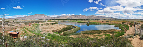 Laguna Nimez Reserva in El Calafate, Patagonia, Argentina photo