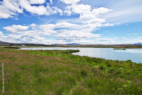 Laguna Nimez Reserva in El Calafate  Patagonia  Argentina