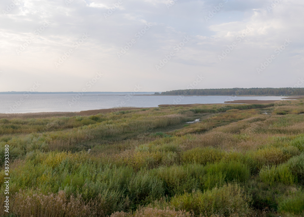 autumn view of the lake, foreground of the lake meadow