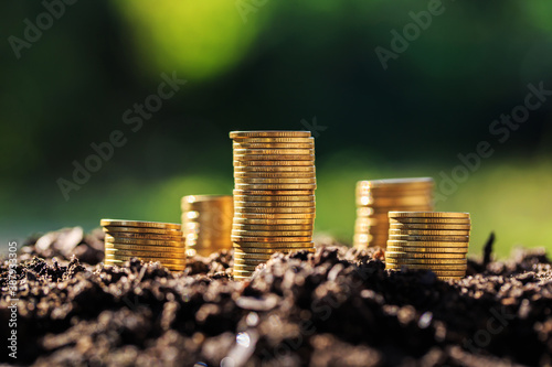 Investment ideas for success Coins on the ground Outdoor nature blurred background
