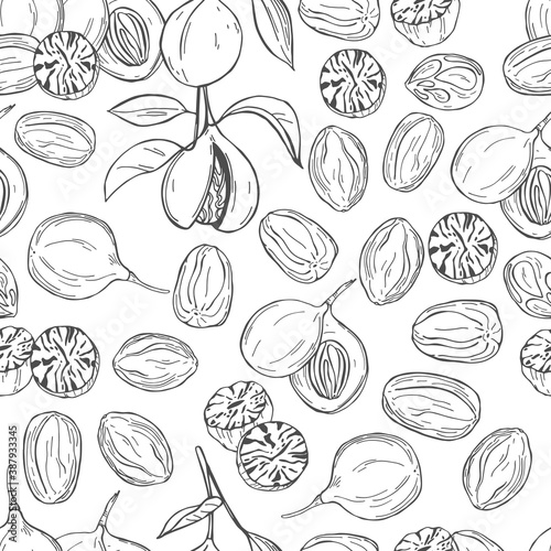 Hand drawn nutmeg. Vector  pattern.