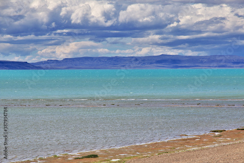 Lago argentino lake in Laguna Nimez Reserva  El Calafate  Patagonia  Argentina