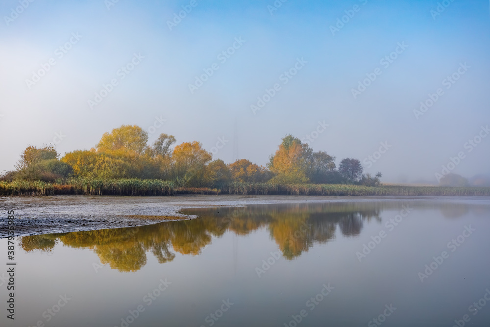 The cool autumn morning at the pond, misty landscape, Jihlava Vysocina, Czech Republic Europe