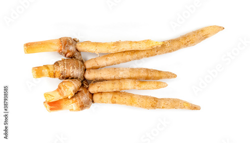 finger root or Chinese's Ginger isolated on the white background.