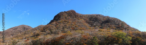 日本百名山”赤城山”歩道から山々を見上げる (秋/紅葉)(パノラマ)