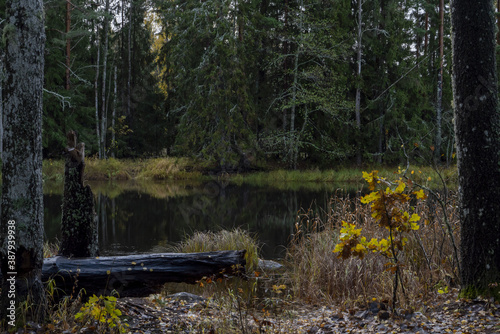 River landscape in autumn. Farnebofjarden national park in Sweden