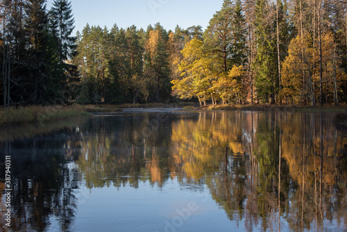 Fototapeta Naklejka Na Ścianę i Meble -  River landscape in autumn. Farnebofjarden national park in Sweden