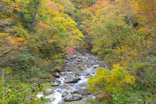 神通峡の紅葉