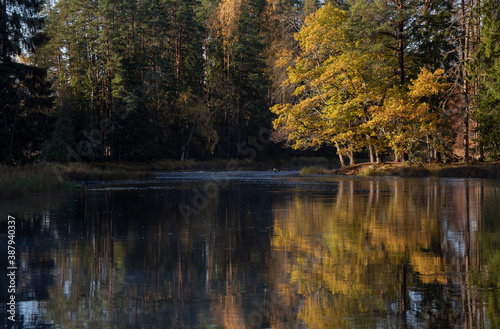 River landscape in autumn. Farnebofjarden national park in Sweden