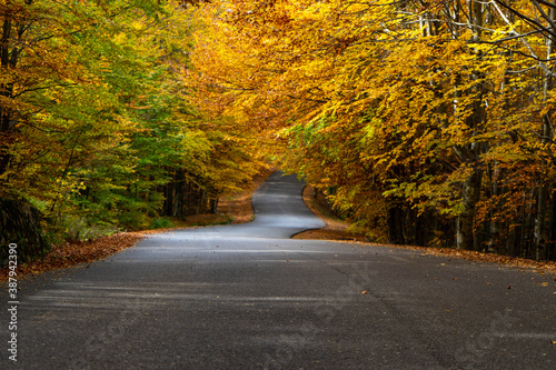Autumn on the road in the Carpathian Mountains in Romania, Eastern Europe