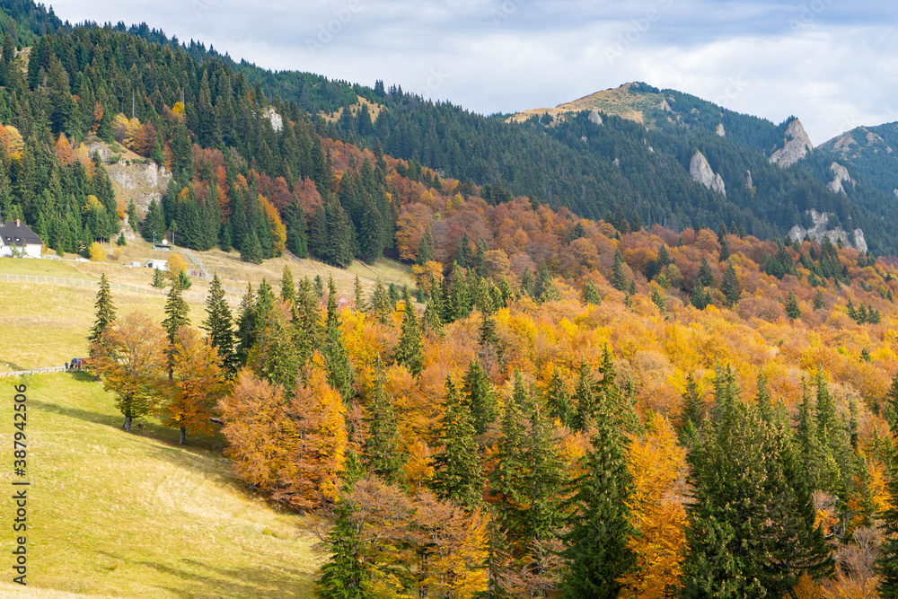 Red Mountain scenery in Cheia, Prahova, Romania in the Carpathian Ciucas Mountains