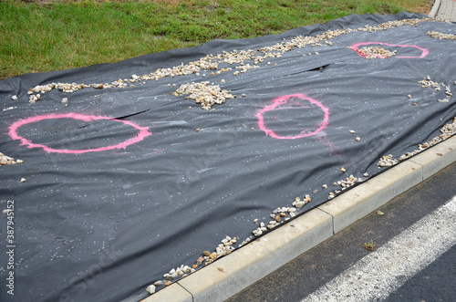 planting perennial flowers on a flowerbed in a pot. mulching with non-woven black fabric. I wish to mark places where stones will be built and installed. in a row are grasses ready for planting withou photo