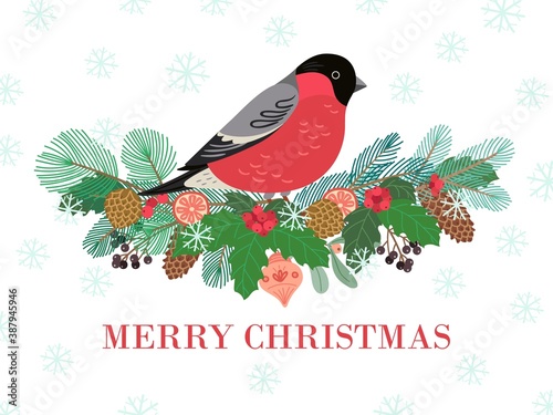Bird winter banner. Christmas forest, bullfinch on natural branch border. Holiday berries cone, traditional new year decor vector illustration. Berry branch and bullfinch bird, winter holiday