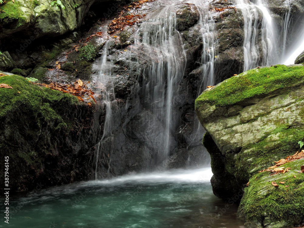 Naklejka premium Fascinated by the beautiful waterfall (Japanese waterfall) 埼玉県・秩父不動滝 (大除沢不動滝)の滝壺