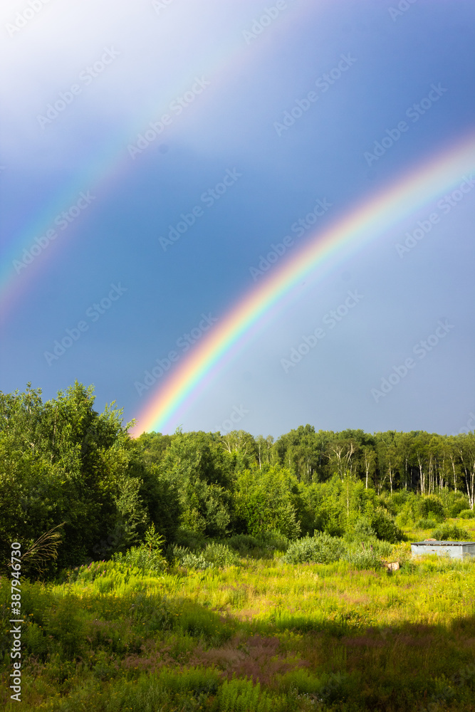 Rainbow over the summer mixed forest, cloudy sky and clear rainbow colors, forest road. Natural landscape. Rainbow colors after rain. Rain clouds. Rainbow over the summer mixed forest, cloudy sky and clear rainbow colors, forest road. Natural landscape. Rainbow colors after rain. Rain clouds.