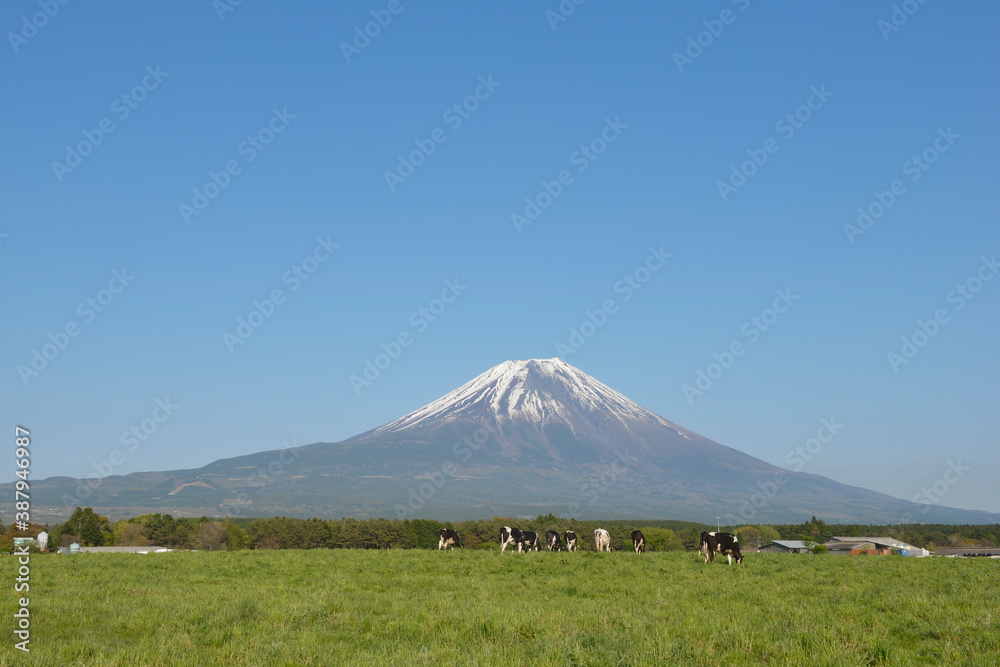 富士山と朝霧高原