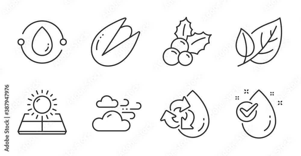 Leaf, Pistachio nut and Water drop line icons set. Windy weather, Cold-pressed oil and Sun energy signs. Recycle water, Christmas holly symbols. Ecology, Vegetarian food, Clean aqua. Vector Leaf, Pistachio nut and Water drop line icons set. Windy weather, Cold-pressed oil and Sun energy signs. Recycle water, Christmas holly symbols. Ecology, Vegetarian food, Clean aqua. Vector