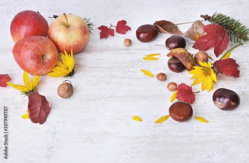 red apples, brown, yellow flowers with leaves in autumnal still life on white...