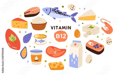 Collection of vitamin B12 food. Cottage cheese, eggs, sea food, fish, meat, dairy product. Dietetic products, organic natural nutrition. Flat vector cartoon illustration isolated on white background photo