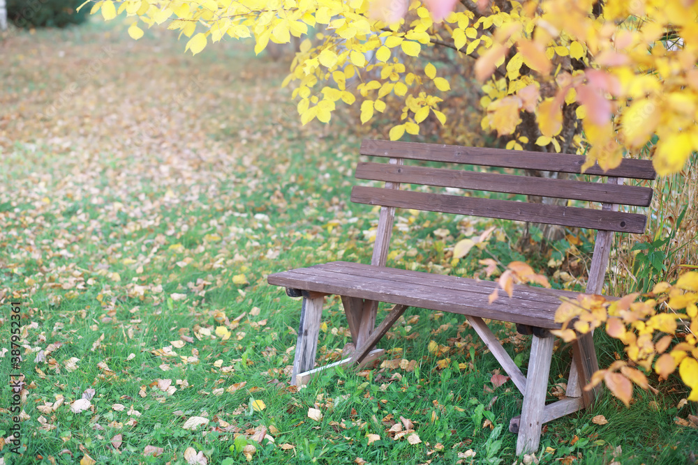 Young family on a walk in the autumn park on a sunny day. Happiness to be together. Young family on a walk in the autumn park on a sunny day. Happiness to be together.