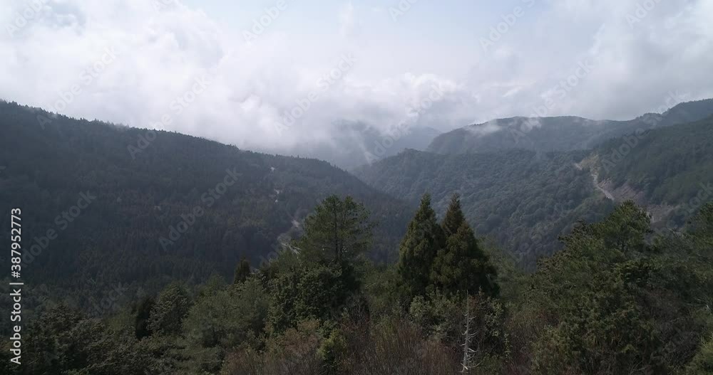 Feb 2018, Alishan National Scenic Area, Chiayi, Taiwan Feb 2018, Alishan National Scenic Area, Chiayi, Taiwan