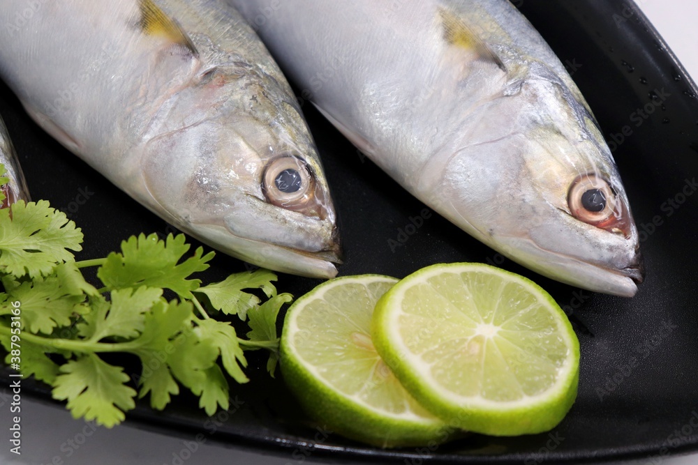 Uncooked Indian mackerel fish Rastrelliger kanagurta. also known as Bangda fish. Free copy space. Lemon wedge and coriander. top view fish background. online fish marketing. Uncooked Indian mackerel fish Rastrelliger kanagurta. also known as Bangda fish. Free copy space. Lemon wedge and coriander. top view fish background. online fish marketing.