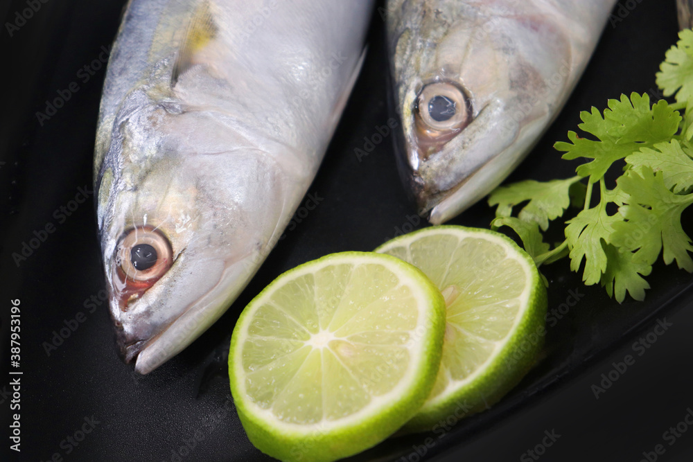Uncooked Indian mackerel fish Rastrelliger kanagurta. also known as Bangda fish. Free copy space. Lemon wedge and coriander. top view fish background. online fish marketing. Uncooked Indian mackerel fish Rastrelliger kanagurta. also known as Bangda fish. Free copy space. Lemon wedge and coriander. top view fish background. online fish marketing.