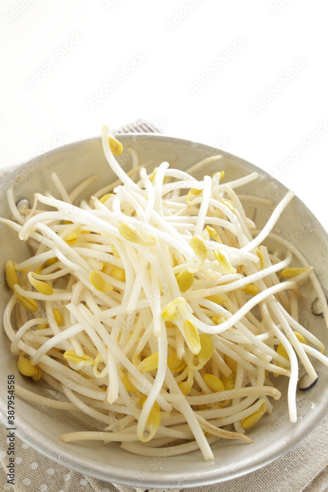 Chinese vegetable, soy sprout in stainless steel pan Chinese vegetable, soy sprout in stainless steel pan