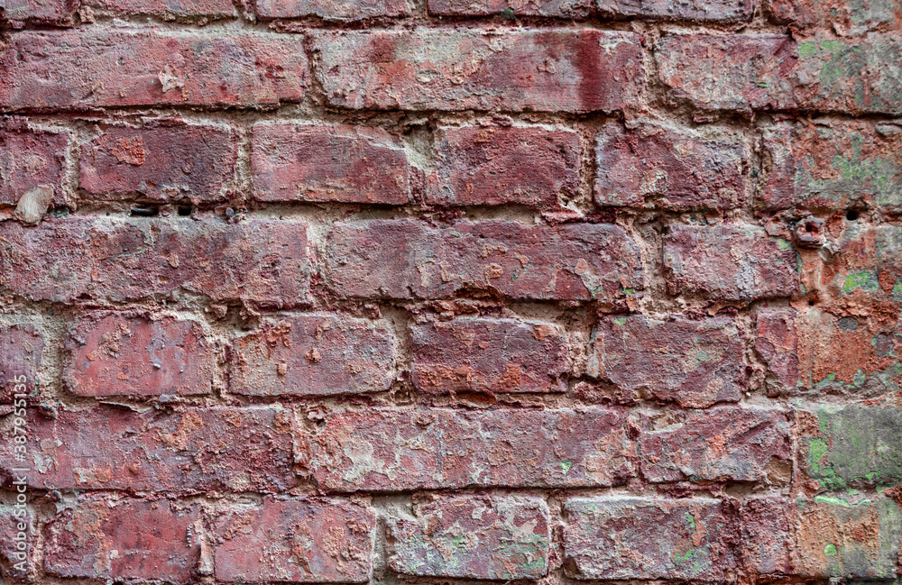 Fototapeta premium Old, weathered brickwork with crumbling plaster. Background. Vintage.