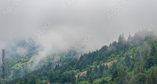 Fog in morning on the mountains.