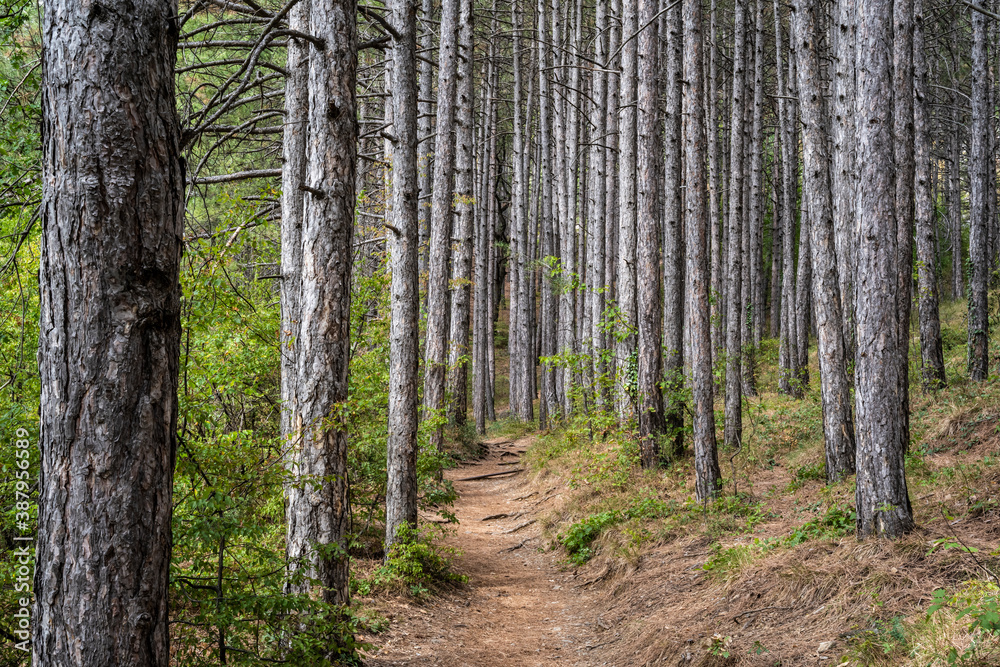 Botkin trail - a beautiful tourist walking route in the Republic of Crimea, Russia Botkin trail - a beautiful tourist walking route in the Republic of Crimea, Russia