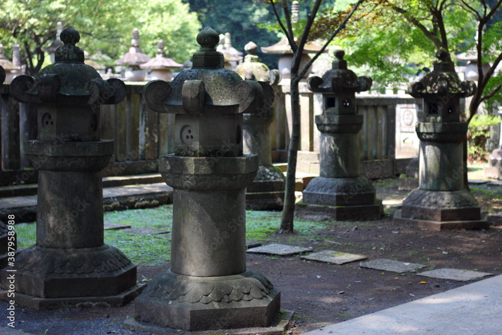Obraz premium 日本埼玉県、平林寺の自然に囲まれた昔の侍や武将、将軍のお墓。