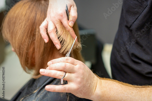Back view of hairdresser cuts red or brown hair to young woman in beauty salon. Haircut in hair salon