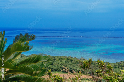 小高い丘からの青い海の眺め © Paylessimages