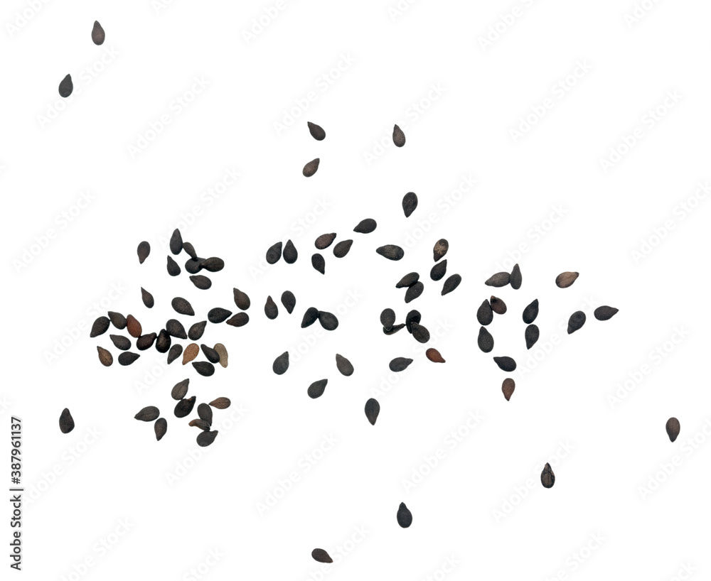 Black sesame Black sesame