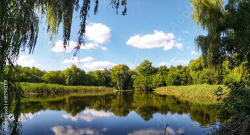 lake and forest