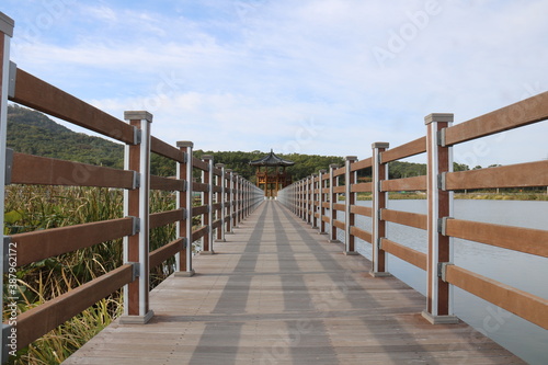 boardwalk in the dunes