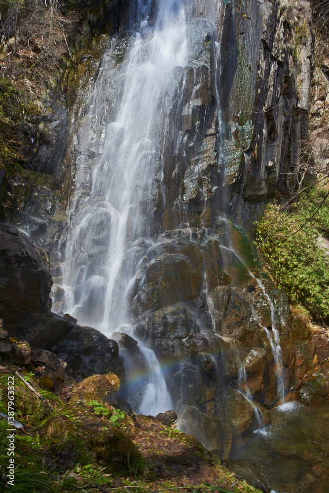 Obraz premium おおくら滝最上段正面