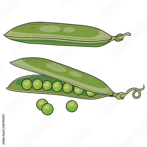 green pea pods with grains, cartoon illustration, isolated object on white background, vector,