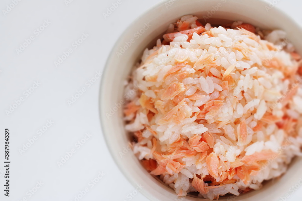 Japanese food, grilled salmon flak mixed rice and green onion Japanese food, grilled salmon flak mixed rice and green onion