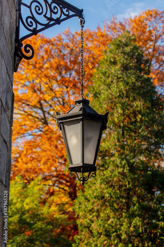Wall lantern and virginia creeper on the street in autumn season