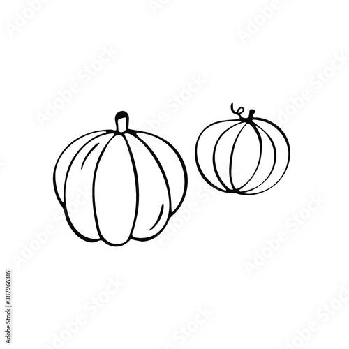 Hand drawn pumpkin in doodle style. Isolated on a white background.
Idea for logo, culinary design, food menu. Black and white vector image