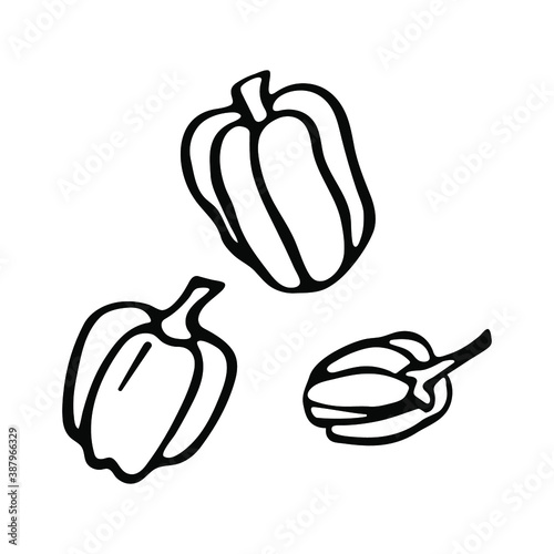 Hand drawn bell pepper in doodle style. Isolated on a white background.
Idea for logo, culinary design, food menu. Black and white vector image.