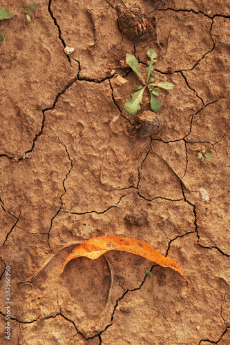 Cracked and dry soil with autumnal leaf.