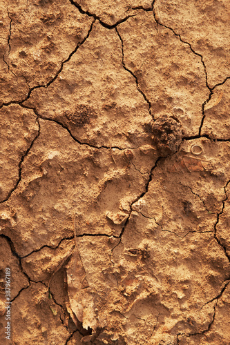 Dry cracked ground.