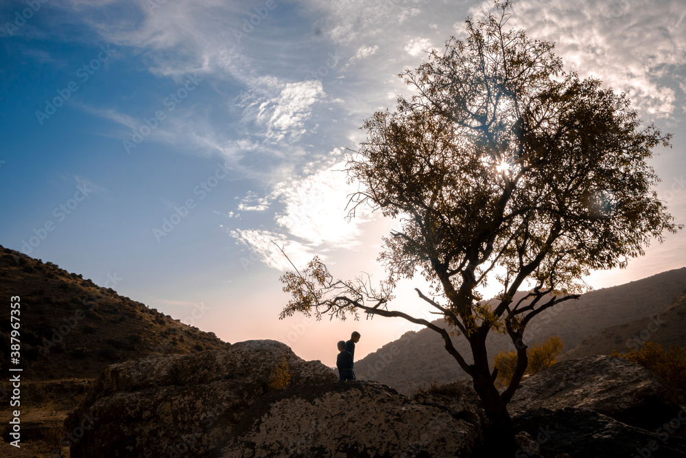 Obraz premium People and kids enjoying a beautiful warm yellow sunset on a green field and the trees in front of the sun in the mountains in algeria