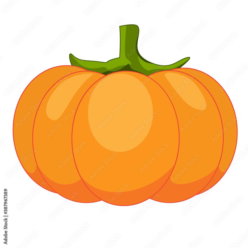 pumpkin isolated on white background pumpkin isolated on white background