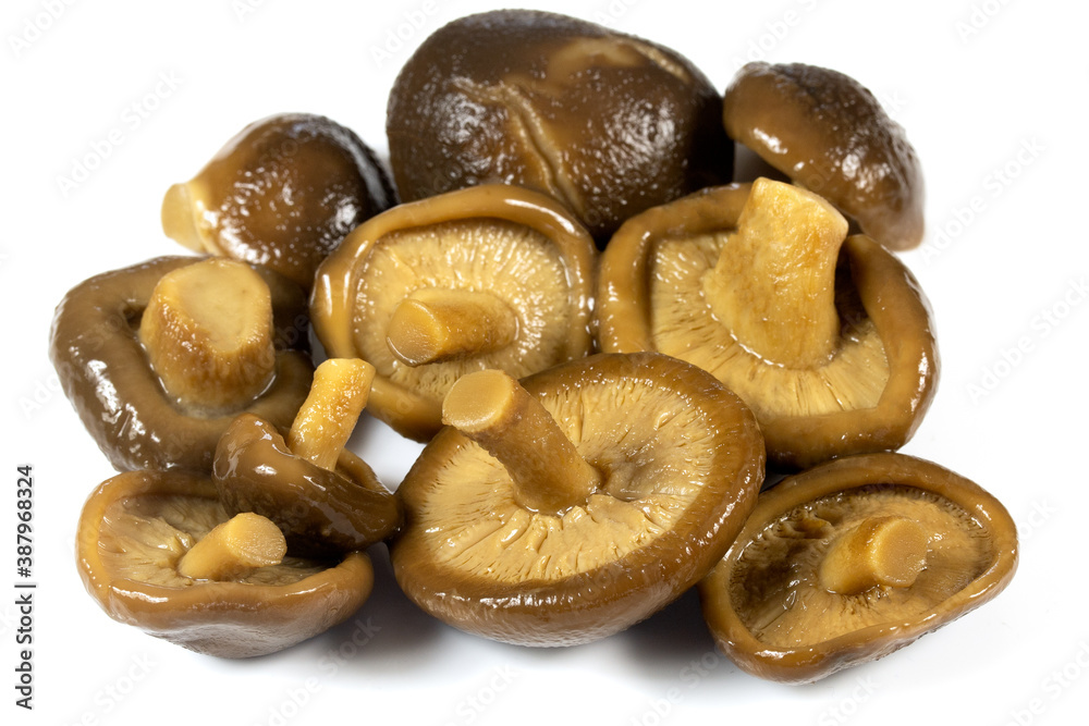 champignons asiatiques shiitake sur un fond blanc champignons asiatiques shiitake sur un fond blanc