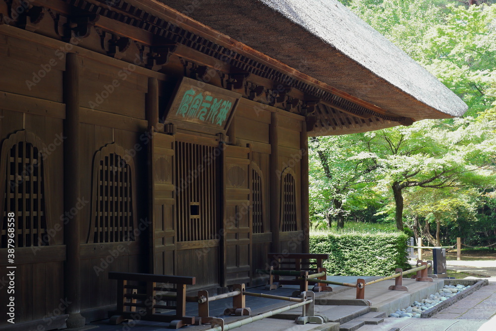 日本の埼玉県、初夏の平林寺の美しい自然の風景
