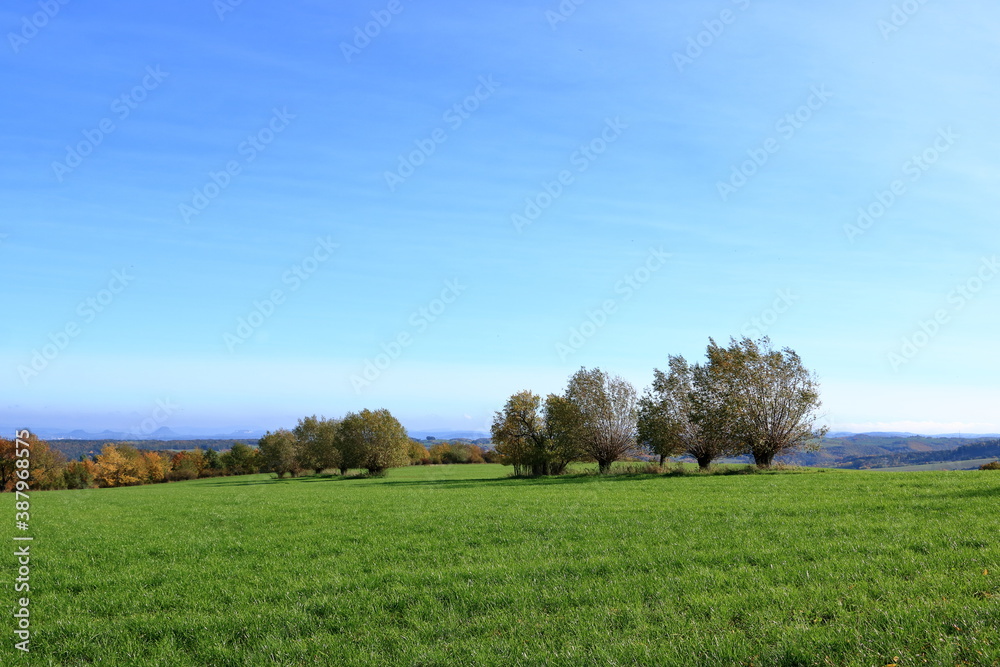 Fototapeta premium beautiful autumn trees in the Landscape in fall